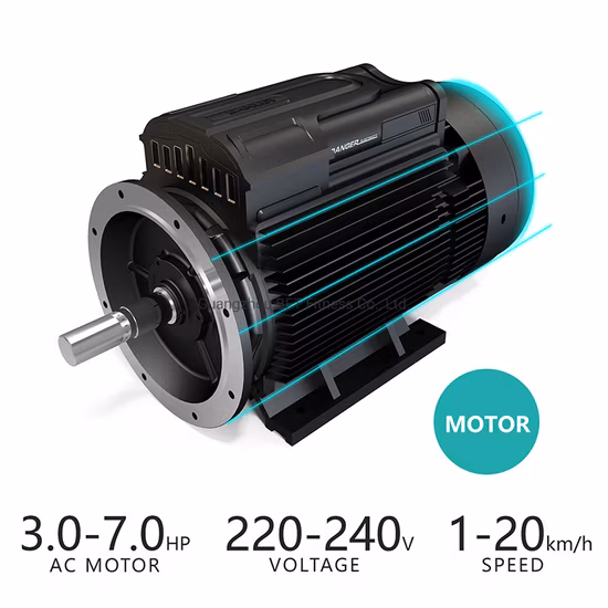 Elektrisches kommerzielles Laufband/motorisiertes Laufband für das Fitnessstudio (BCT