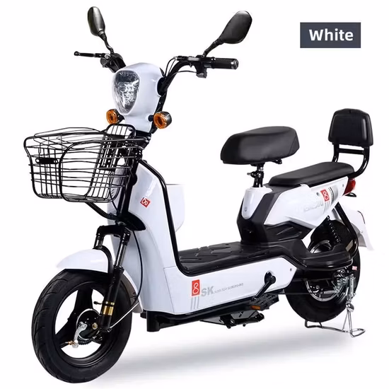 Adult Electric Bike for Sale China Factory