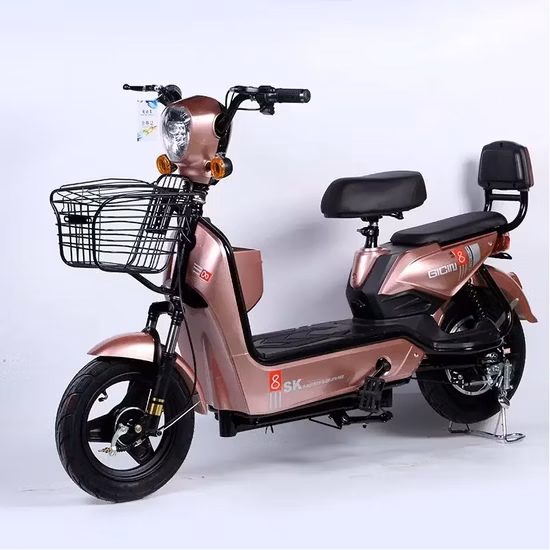 Adult Electric Bike for Sale China Factory