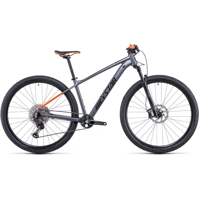 Adult Wholesale Bikes Aluminum Bicycle 29er Cycle Mountain Bike Price