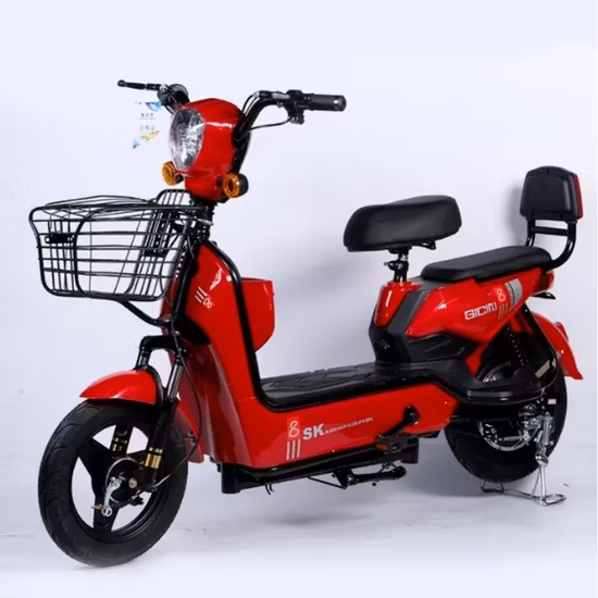 Adult Electric Bike for Sale China Factory