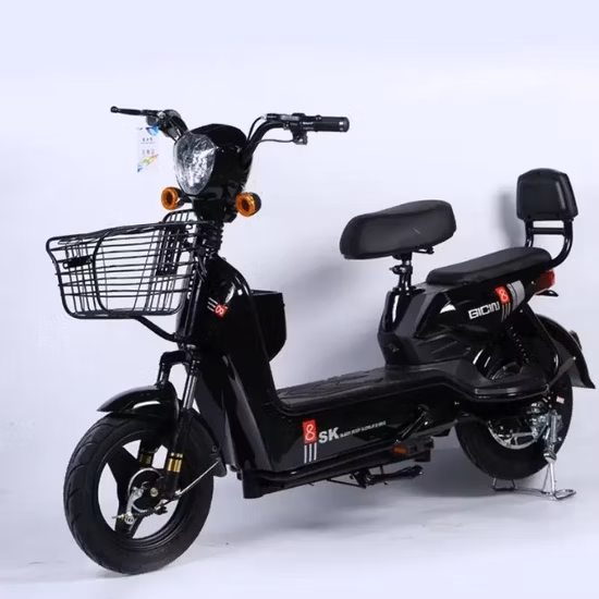 Adult Electric Bike for Sale China Factory