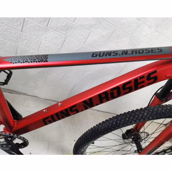 Günstiges Aluminium-Mountainbike-BMX-Gangschaltungsrad für Herren mit 3-Speichen-Rädern